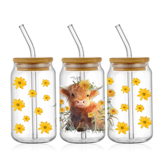 Highland Cow